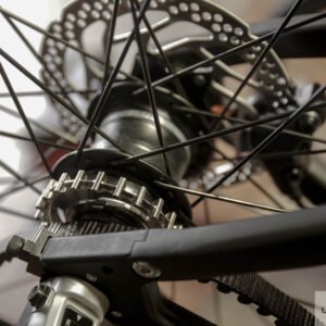 Luna Fixed Stealth Ebike for sale 2