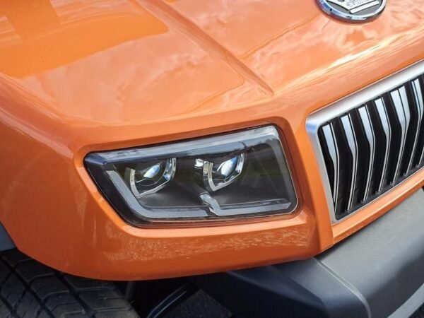 2024 Evolution Electric Vehicles D5-Ranger 4 For Sale