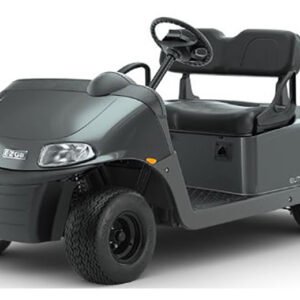 2022 E-Z-GO RXV FOR SALE