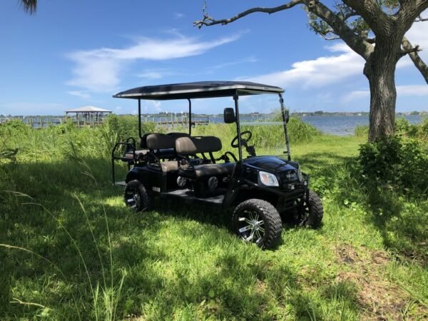 2019 E-Z-GO EXPRESS L6 GAS FOR SALE