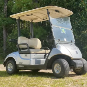 2021 Yamaha Golf Carts All DRIVE 2 FLEET GAS For Sale 1
