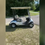 2021 Yamaha Golf Carts All DRIVE 2 FLEET GAS For Sale