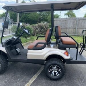 2022-ADVANCED-EV-EV1-4-CHAMPAGNE