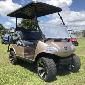 2022-Evolution-Electric-Vehicles-Classic-4-Pro-60-AH-Lithium