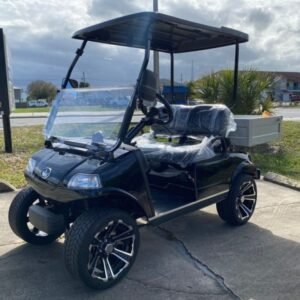 2022 EVOLUTION ELECTRIC VEHICLES TURFMAN 200 FOR SALE