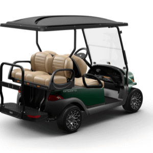 4P-NL-Green-Beige-Rear.png