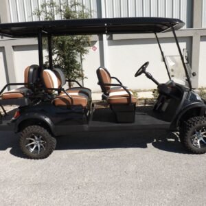 2022 ADVANCED EVV GOLF CART AEV FOR SALE