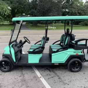 NEW 2024 BINTELLI GOLF CARTS ALL BEYOND 6 FOR SALE