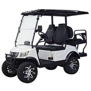 NEW 2024 MASSIMO MOTOR GOLF CARTS ALL MEV2X FOR SALE