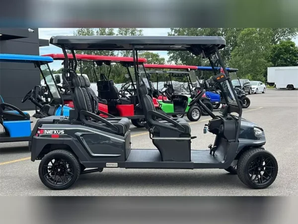 NEW 2024 BINTELLI GOLF CARTS ALL NEXUS FOR SALE