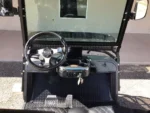 NEW 2023 ICON GOLF CARTS ALL E40L FOR SALE