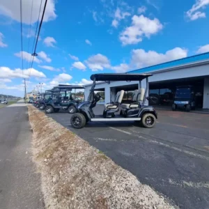 NEW 2024 STAR EV GOLF CARTS ALL SIRIUS 4 FOR SALE