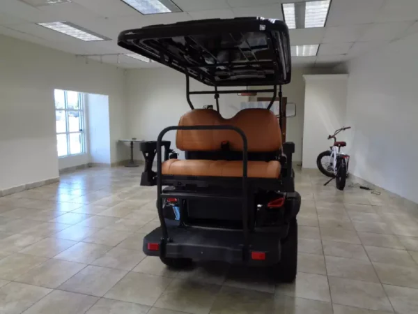 NEW 2024 ALSET GOLF CARTS ALL GM 2 2L W/LITHIUM FOR SALE