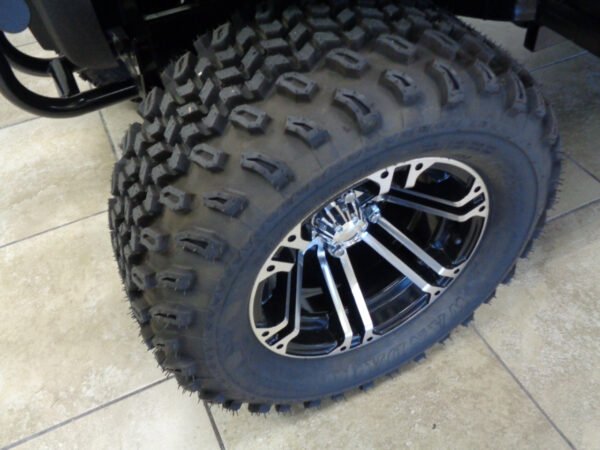 NEW 2024 ALSET GOLF CARTS ALL GM 2 2L W/LITHIUM FOR SALE