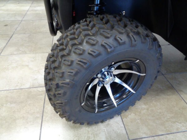 NEW 2024 ALSET GOLF CARTS ALL LV 2 2L FOR SALE