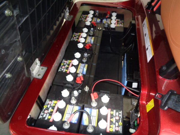 NEW 2024 ALSET GOLF CARTS ALL LV 2 2L FOR SALE