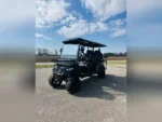 NEW 2024 EPIC CARTS GOLF CARTS ALL E60L FOR SALE
