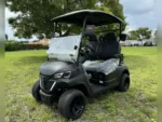 NEW 2024 GREYSON GOLF CARTS ALL PDG FOR SALE