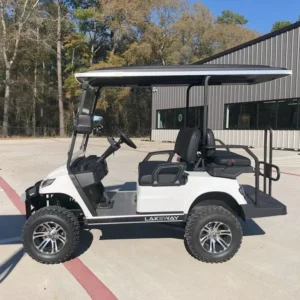 NEW 2024 ADVANCED EV GOLF CARTS ALL ADVENT 4L FOR SALE