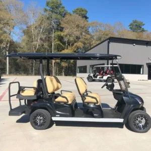 NEW 2024 STAR EV GOLF CARTS ALL SIRIUS 4 2 FOR SALE