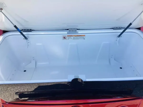 USED 2022 GEM® GOLF CARTS ALL E4 FOR SALE