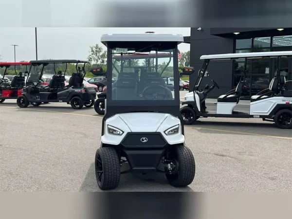 NEW 2024 BINTELLI GOLF CARTS ALL NEXUS FOR SALE