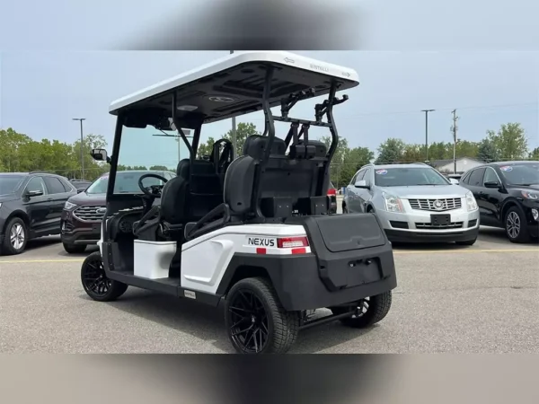 NEW 2024 BINTELLI GOLF CARTS ALL NEXUS FOR SALE