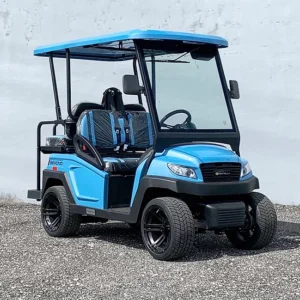 2021 BINTELLI GOLF CARTS 4PR LIFTED STREET LEGAL GOLF CART FOR SALE