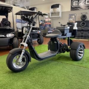 2021 FAT TIRE XR TRIKE