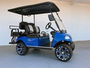 NEW BLUE EVOLUTION CLASSIC 4 PRO GOLF CART FOR SALE