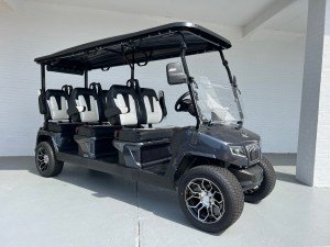 CHARCOAL EVOLUTION D5 RANGER 6 SEATER GOLF CART FOR SALE
