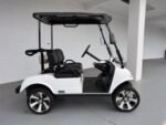 WHITE EVOLUTION CLASSIC PRO GOLF CART FOR SALE
