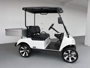 Evolution-Turfman-200-Lithium-Utility-Golf-Cart-01_0x225