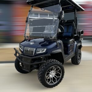 2025 Evolution D5 Maverick 2+2 For Sale now at theebikesstore.com