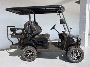 ROYAL-EV-48V-Lithium-Ambassador-Black-Out-02_0x225