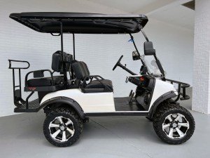 WHITE FORESTER EVOLUTION GOLF CART FOR SALE