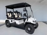 WHITE EVOLUTION D5 RANGER LITHIUM GOLF CART FORWARD FACING FOR SALE