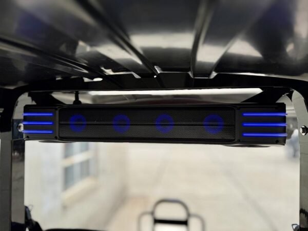 2025 Evolution Electric Vehicles D5 Maverick 2+2 Plus